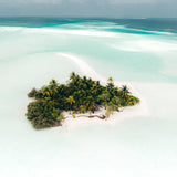 Island Life
