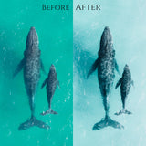 Dreamy Tones, LR Presets