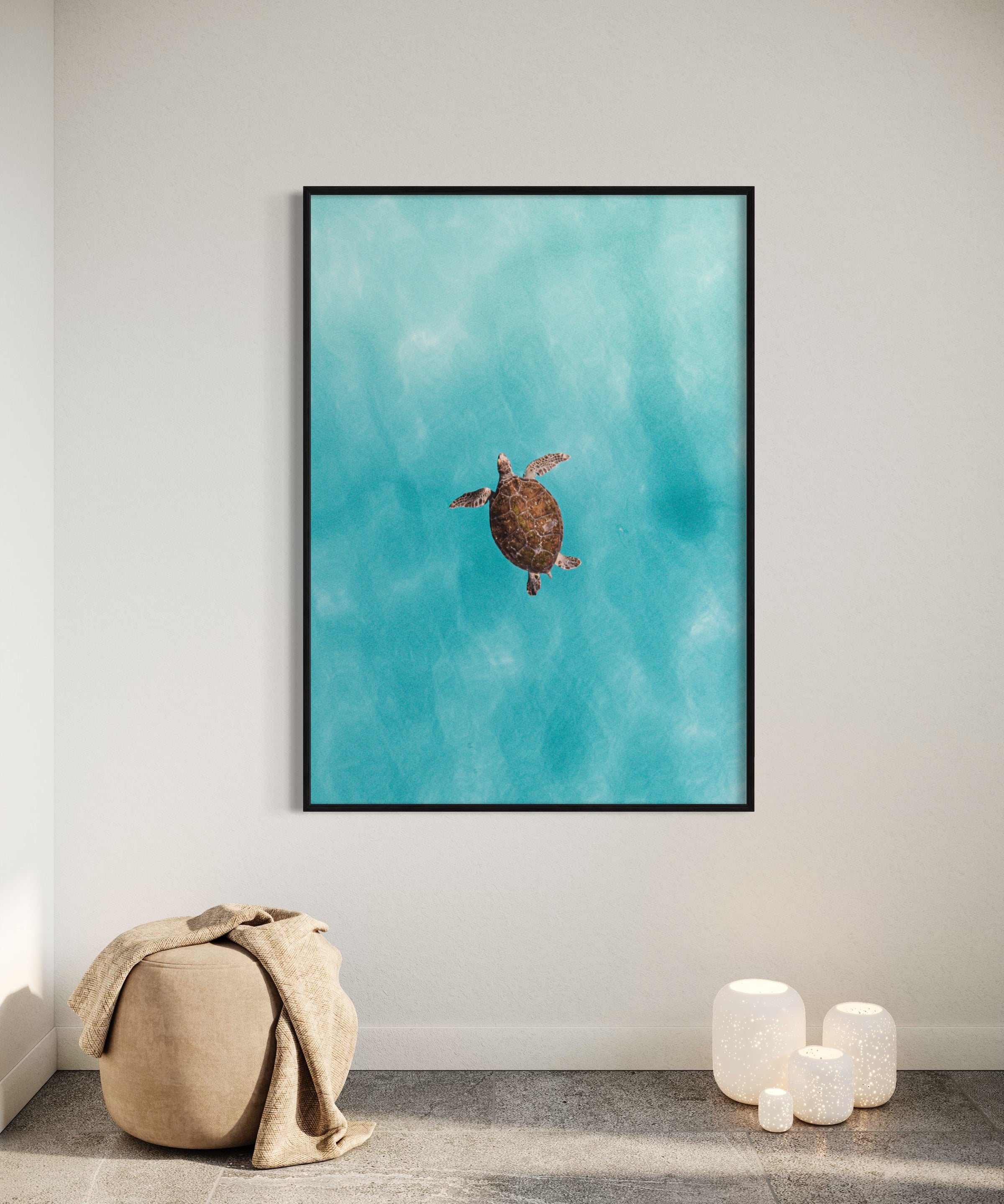 Green Sea Turtle