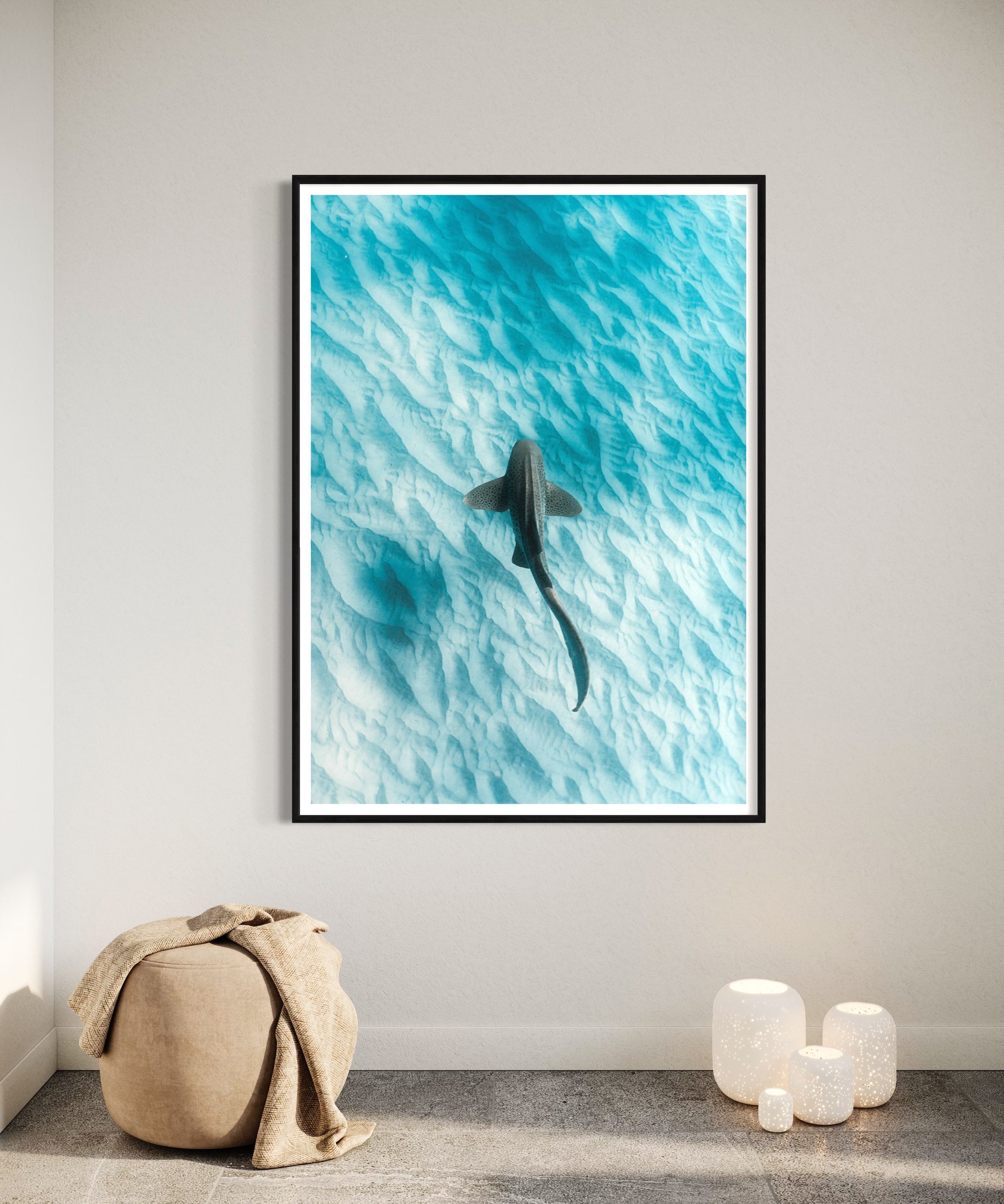 Leopard Shark ~ Byron Bay