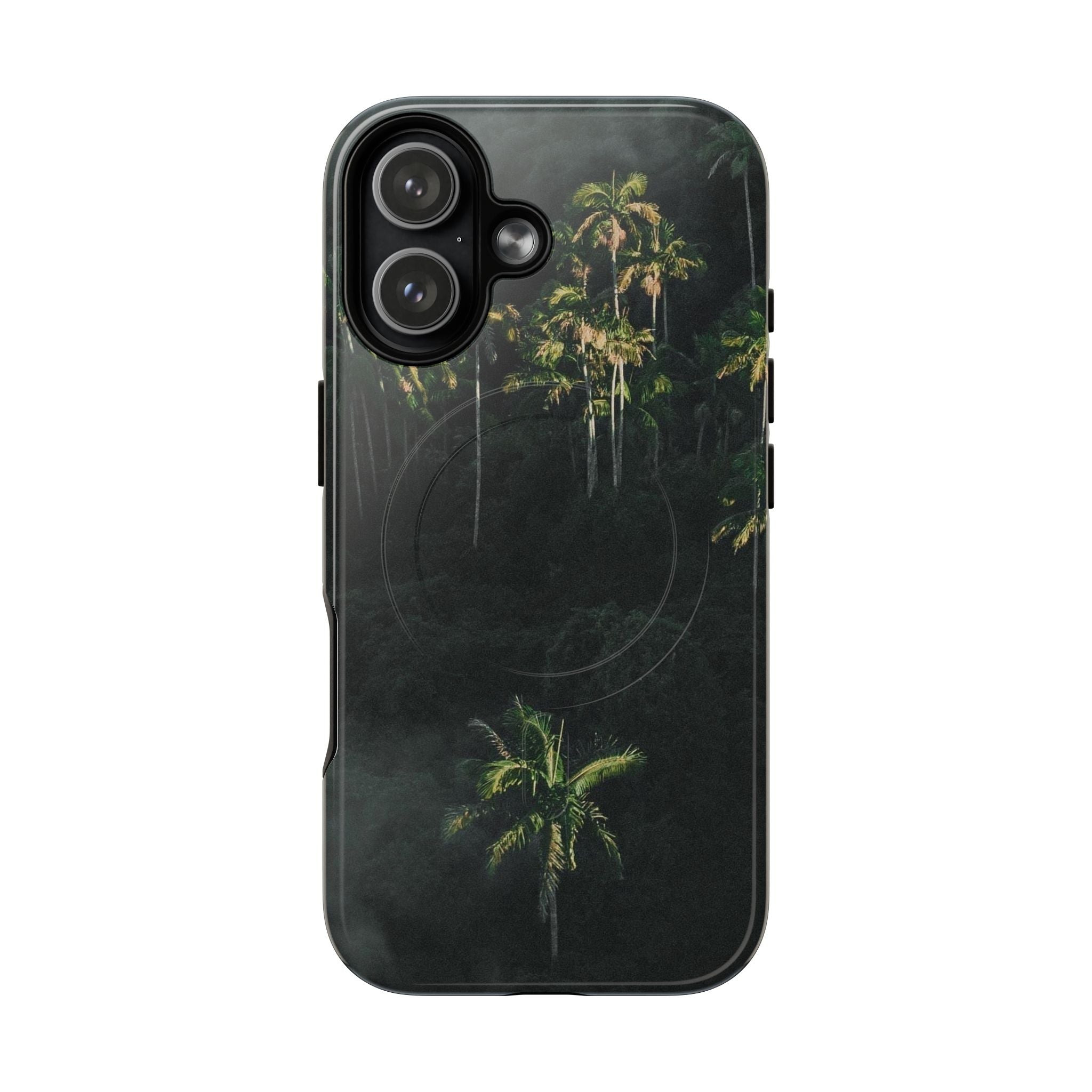 Moody Palms, Mag Safe, Tough Case