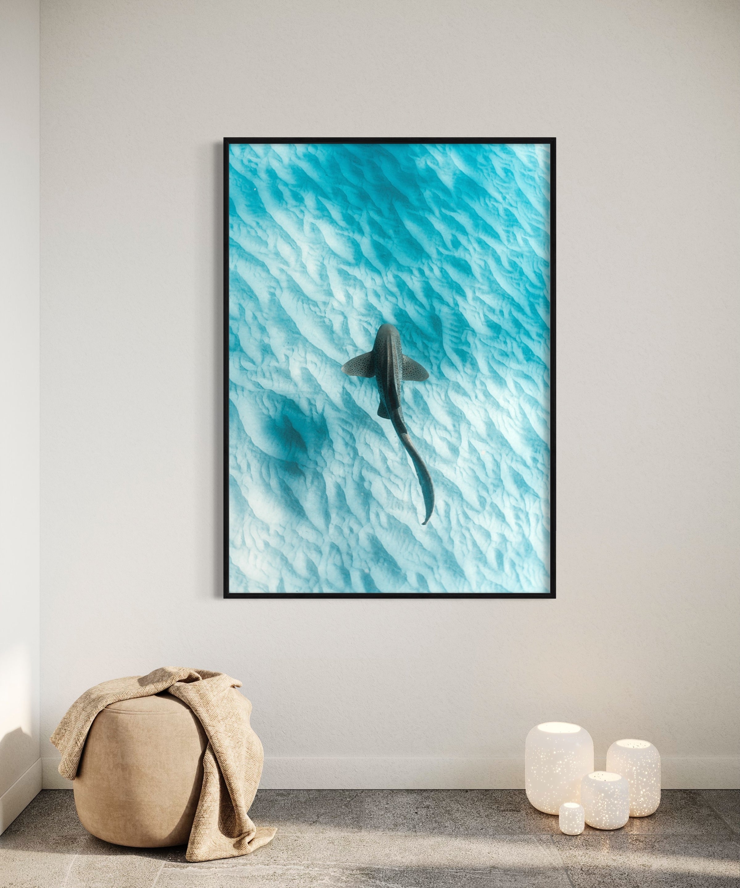 Leopard Shark ~ Byron Bay