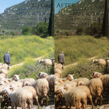 Dreamy Tones, LR Presets