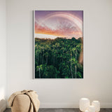 Enchanted Palms