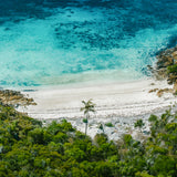 Tropical feels ~ Whitsundays