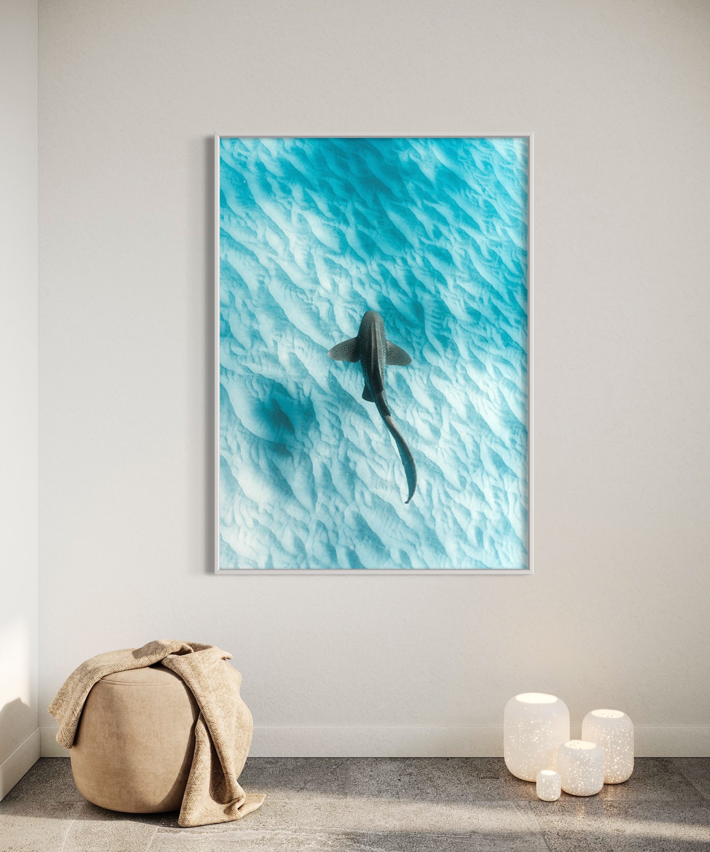 Leopard Shark ~ Byron Bay