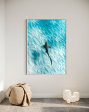Load image into Gallery viewer, Leopard Shark ~ Byron Bay