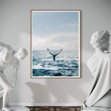 Whale Dreaming