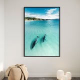 In The Shallows