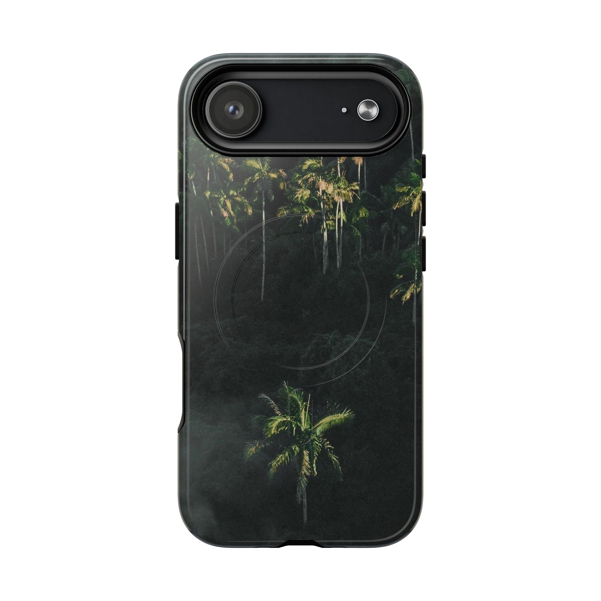 Moody Palms, Mag Safe, Tough Case