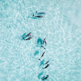 In the shallows