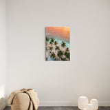 Coco Dream ~ Thulusdhoo ~ Maldives