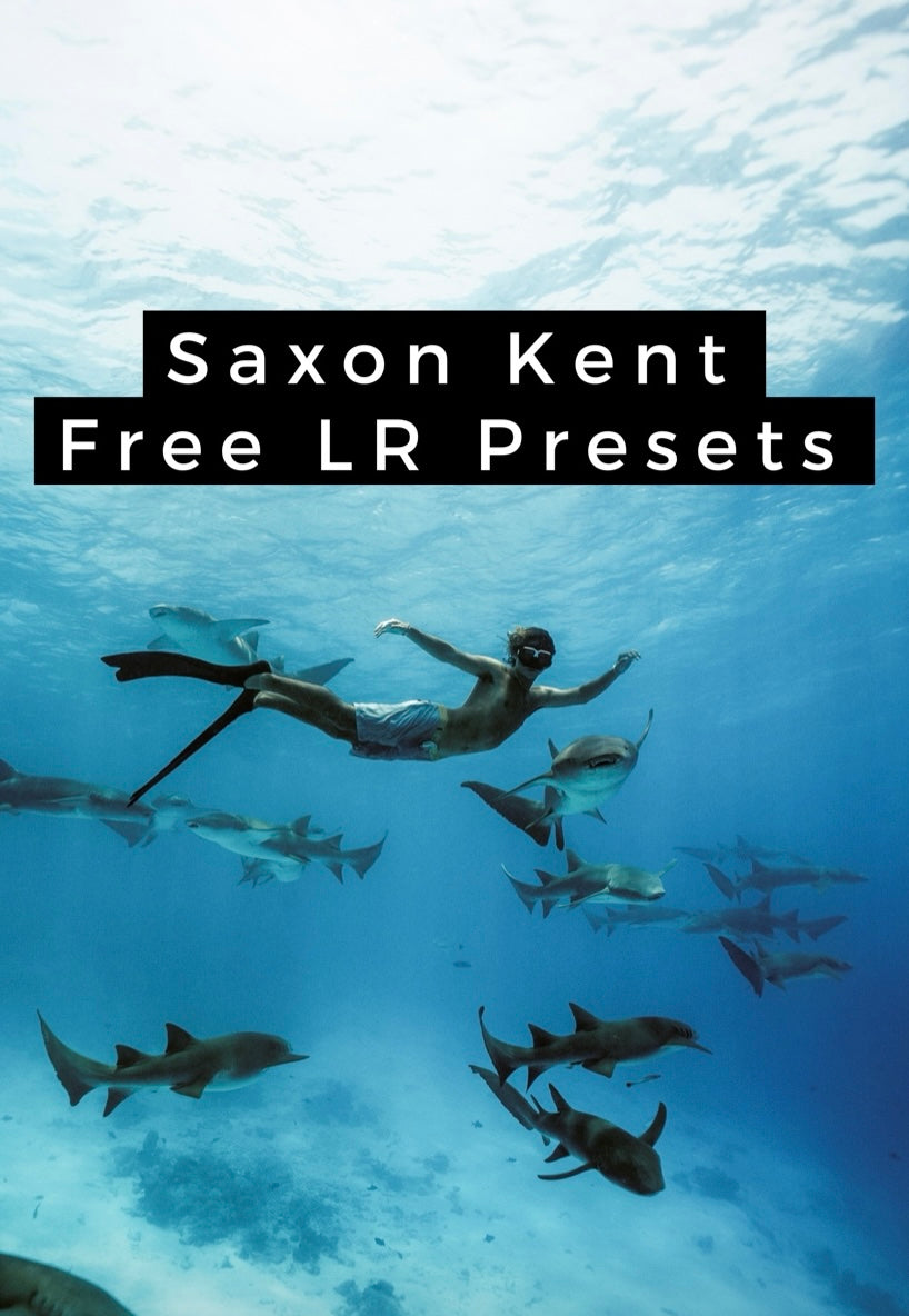 Sax Free Presets