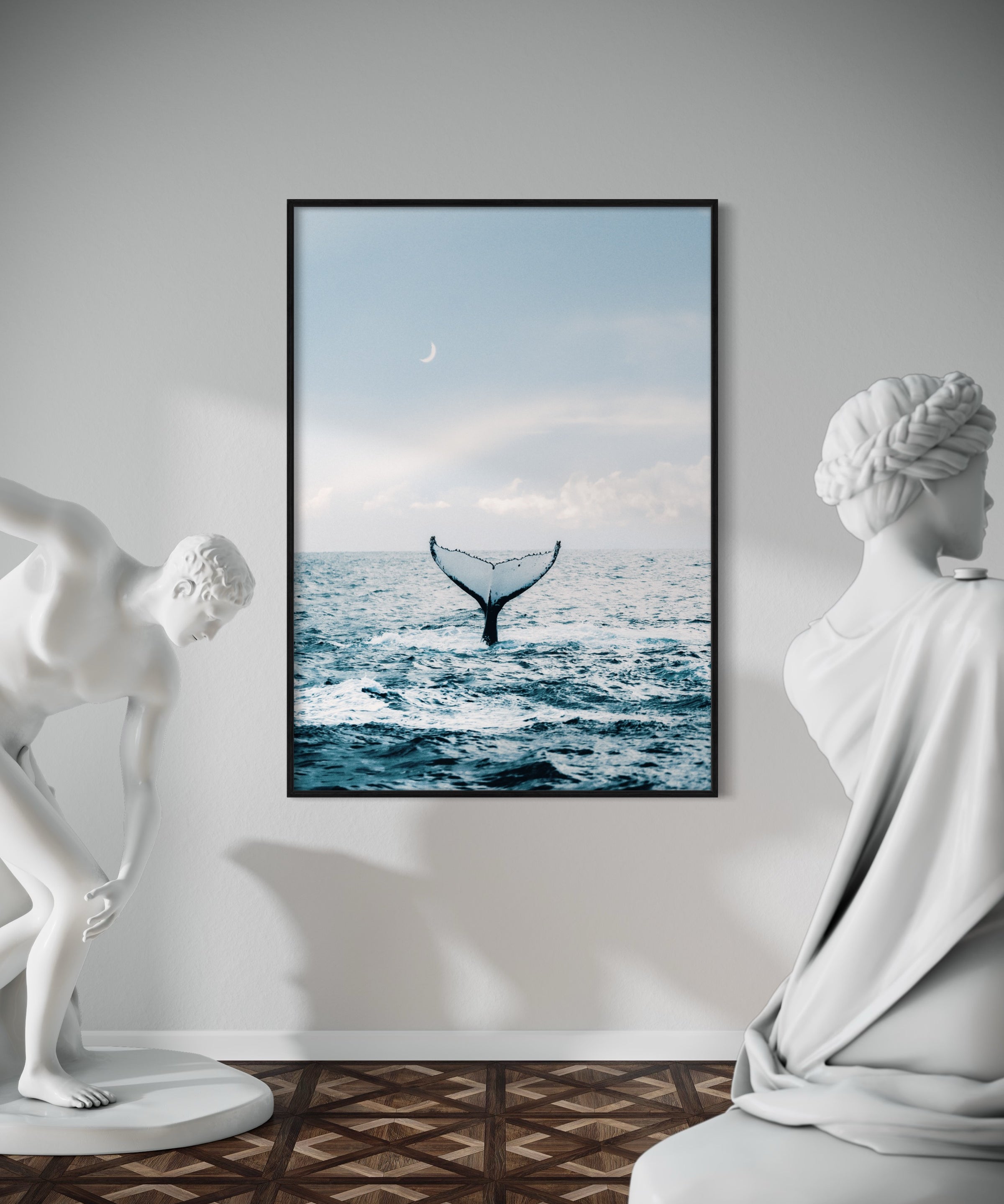 Whale Dreaming