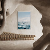 Whale Dreaming