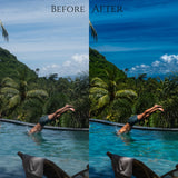 Dreamy Tones, LR Presets