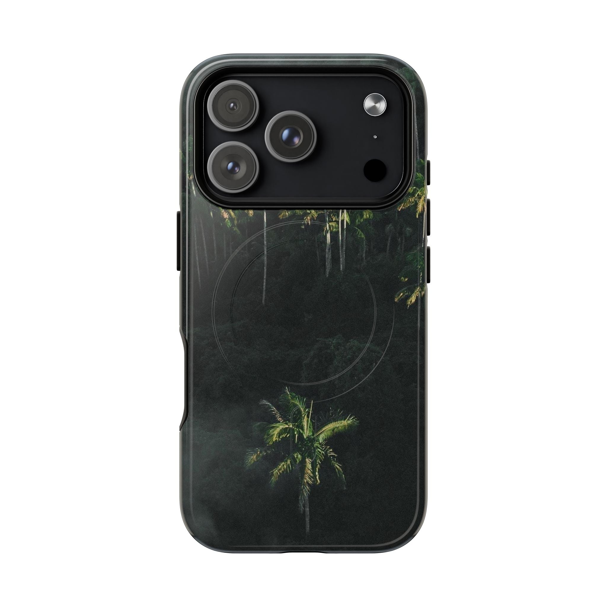 Moody Palms, Mag Safe, Tough Case