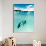 In The Shallows