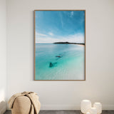 The Wreck ~ Byron Bay