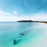 The Wreck ~ Byron Bay