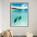 In The Shallows