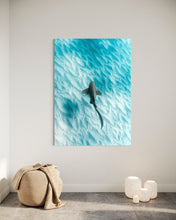Load image into Gallery viewer, Leopard Shark ~ Byron Bay