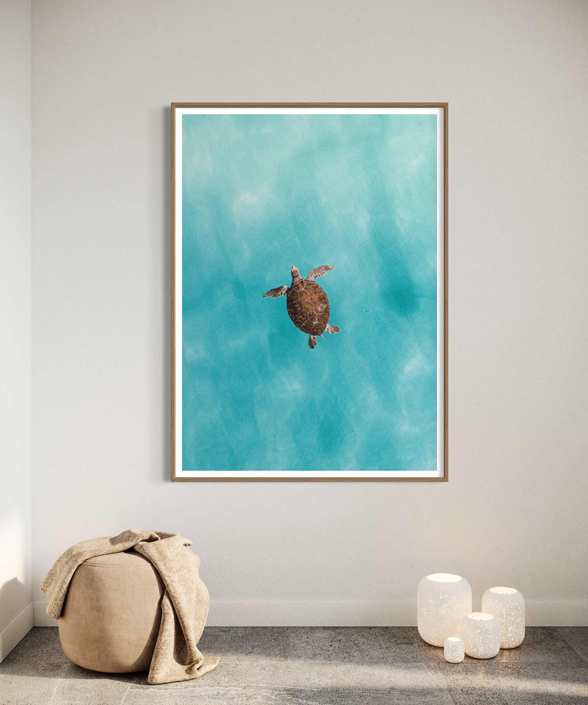 Green Sea Turtle