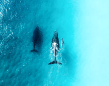 Load image into Gallery viewer, Winter Bliss ~ Byron Bay