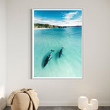In The Shallows