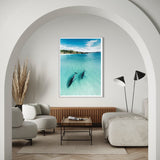 In The Shallows