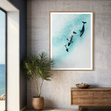 Whale Chase ~ Byron Bay