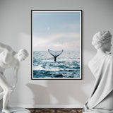 Whale Dreaming