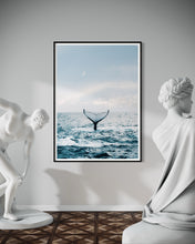Load image into Gallery viewer, Whale Dreaming