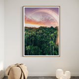 Enchanted Palms