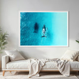 Winter Bliss ~ Byron Bay