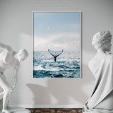 Whale Dreaming