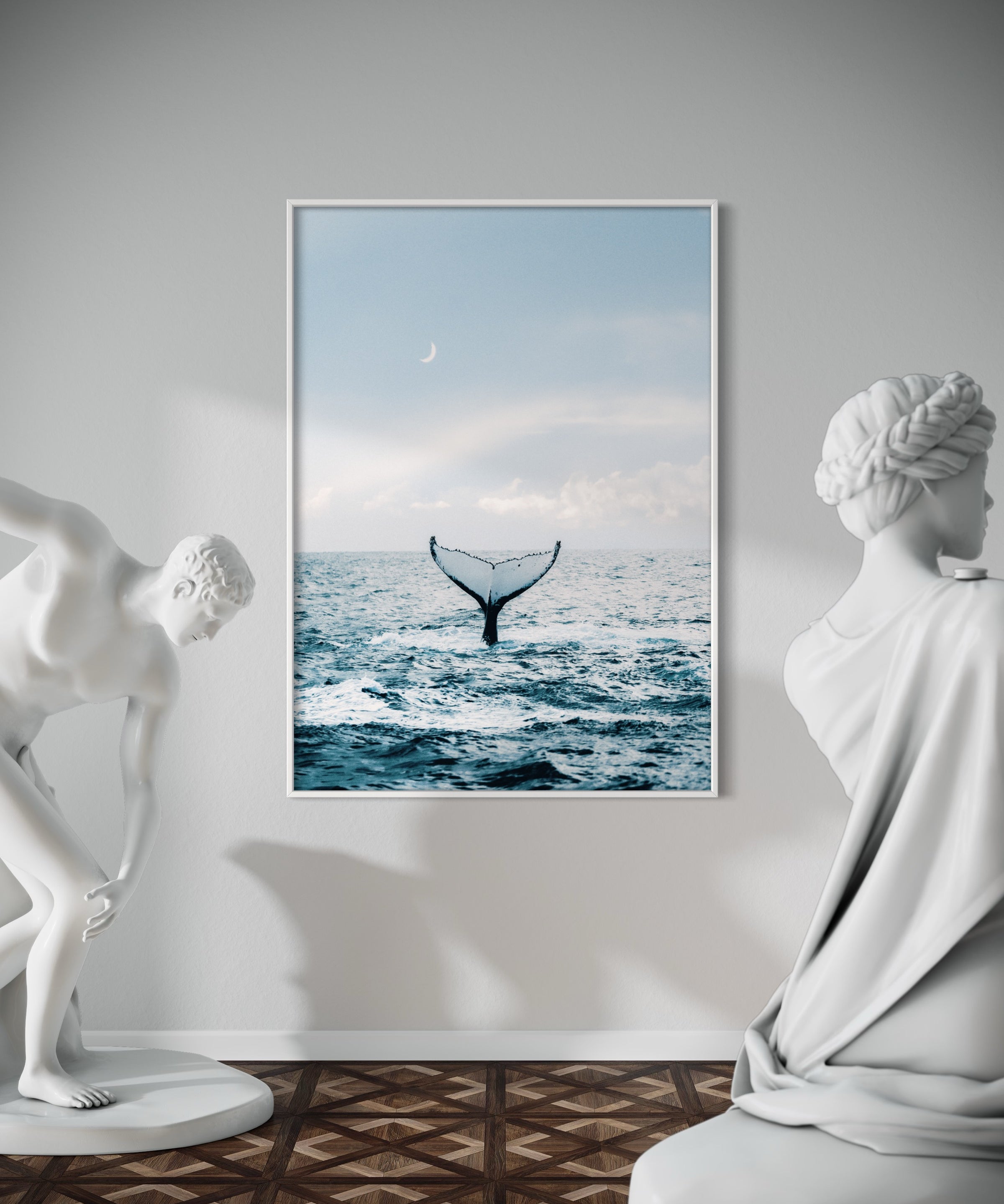 Whale Dreaming