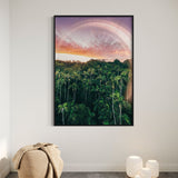 Enchanted Palms