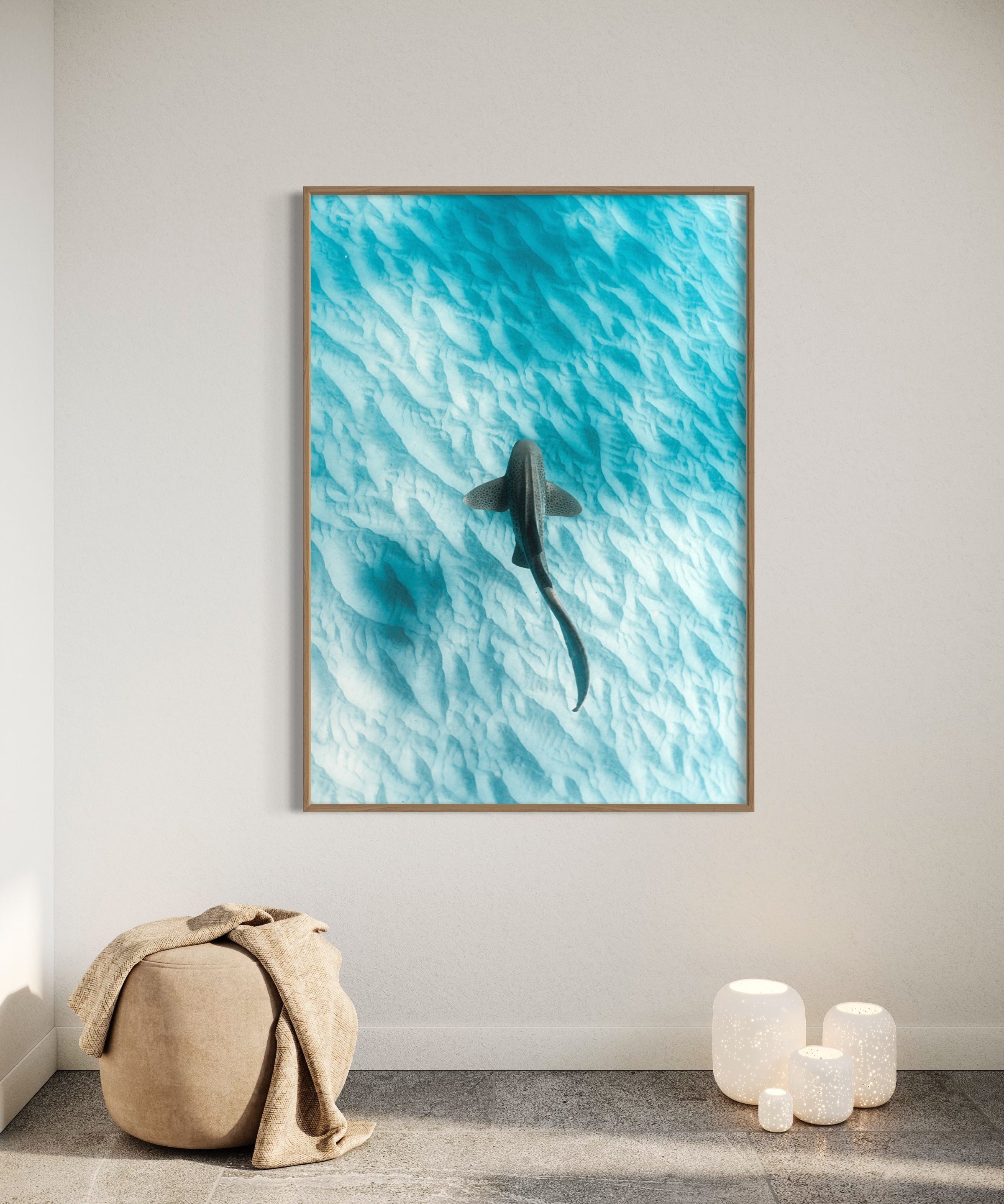 Leopard Shark ~ Byron Bay