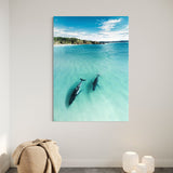 In The Shallows