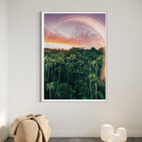 Enchanted Palms