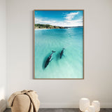 In The Shallows
