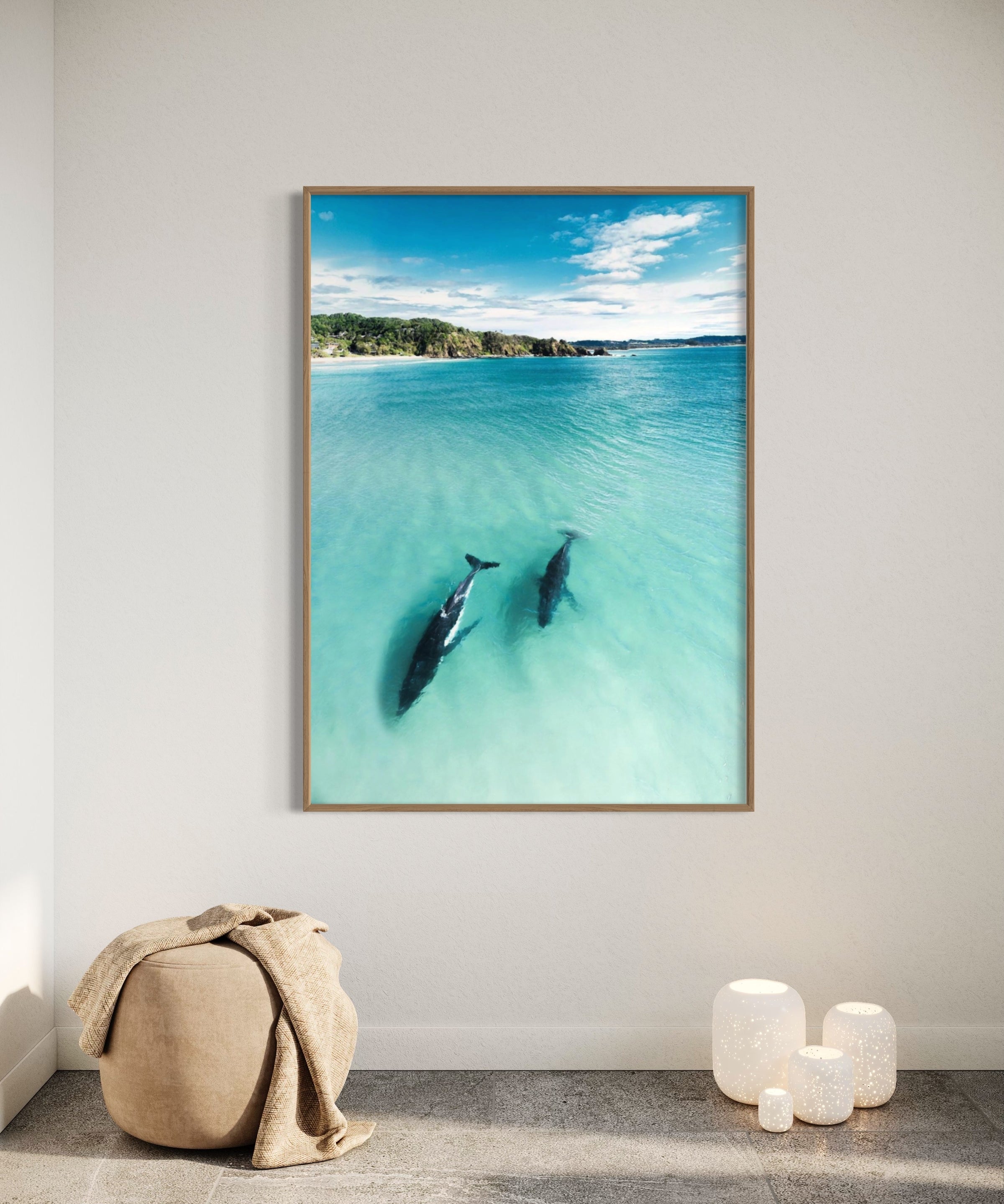 In The Shallows