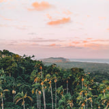 Tropics meet the Sea