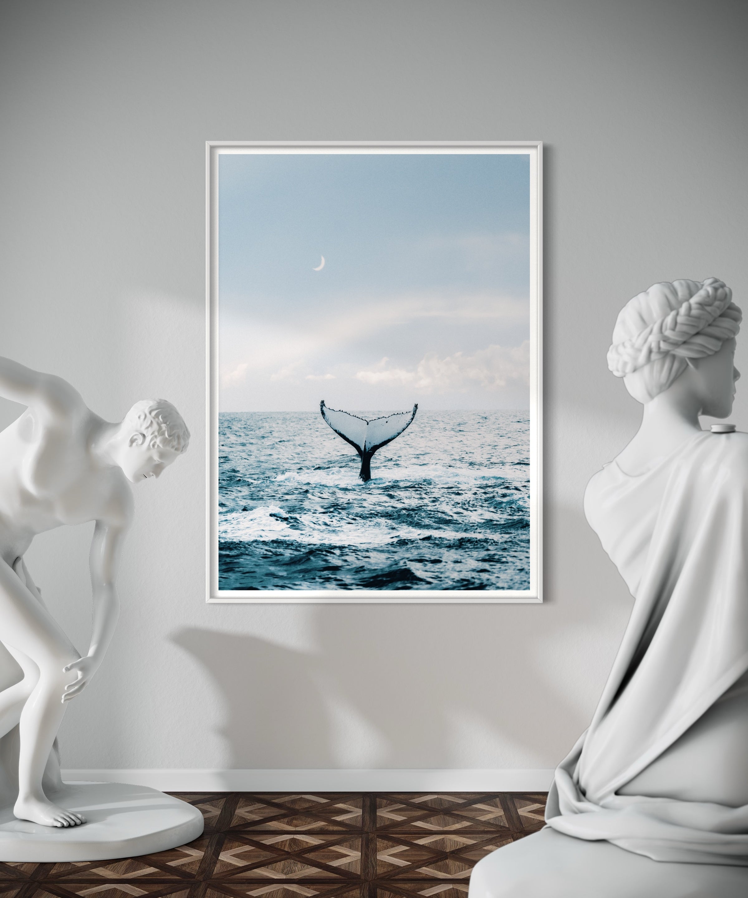 Whale Dreaming