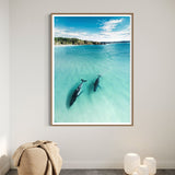 In The Shallows