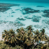 Maldives Magic