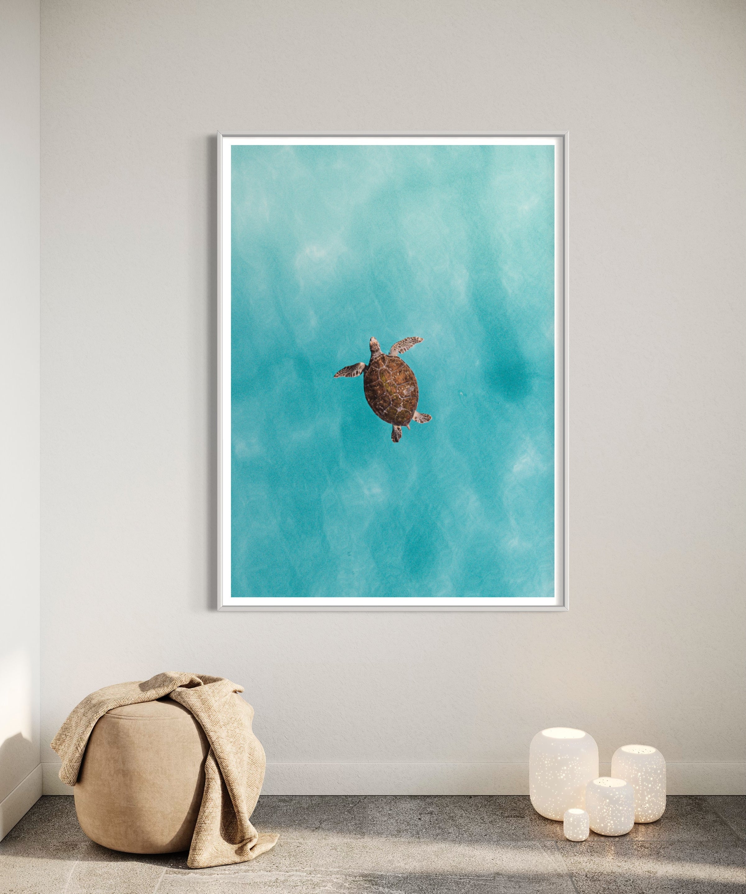 Green Sea Turtle