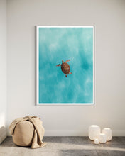 Load image into Gallery viewer, Green Sea Turtle