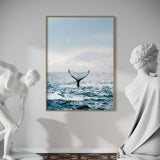 Whale Dreaming